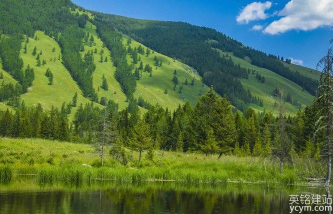 35i58PICTGfq7UeQeI88G_PIC2018.jpg